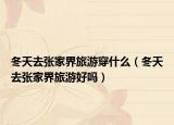 冬天去张家界旅游穿什么（冬天去张家界旅游好吗）