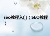 seo教程入门（SEO教程）