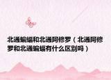 北通蝙蝠和北通阿修罗（北通阿修罗和北通蝙蝠有什么区别吗）