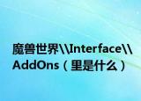 魔兽世界\Interface\AddOns（里是什么）