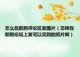 怎么在酷狗评论区发图片（怎样在酷狗论坛上发可以见到的照片啊）