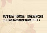飘花视频下载路径（飘花视频为什么下载到网络播放器就打不开）