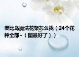 奥比岛魔法花架怎么找（24个花种全部~（图最好了））