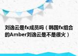 刘逸云是fx成员吗（韩国fx组合的Amber刘逸云是不是很火）