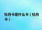牡丹卡是什么卡（牡丹卡）