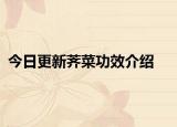 今日更新荠菜功效介绍