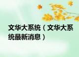 文华大系统（文华大系统最新消息）