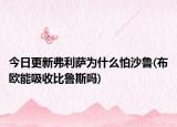今日更新弗利萨为什么怕沙鲁(布欧能吸收比鲁斯吗)