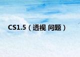 CS1.5（透视 问题）