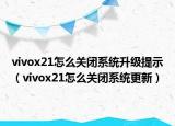 vivox21怎么关闭系统升级提示（vivox21怎么关闭系统更新）