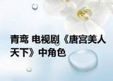 青鸾 电视剧《唐宫美人天下》中角色