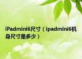 iPadmini6尺寸（ipadmini6机身尺寸是多少）