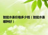 智能水表价格多少钱（智能水表哪种好）
