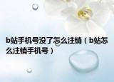 b站手机号没了怎么注销（b站怎么注销手机号）