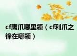 cf鹰爪哪里领（cf利爪之锋在哪领）