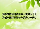 浦东国际机场停车费一天多少（上海浦东国际机场停车费多少一天）