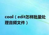 cool（edit怎样批量处理音频文件）