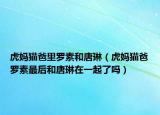 虎妈猫爸里罗素和唐琳（虎妈猫爸罗素最后和唐琳在一起了吗）