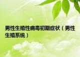男性生殖性病毒初期症状（男性生殖系统）