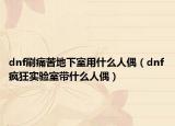 dnf刷痛苦地下室用什么人偶（dnf疯狂实验室带什么人偶）