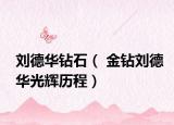 刘德华钻石（ 金钻刘德华光辉历程）