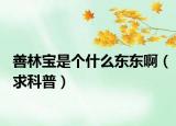 善林宝是个什么东东啊（求科普）