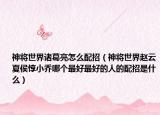 神将世界诸葛亮怎么配招（神将世界赵云夏侯惇小乔哪个最好最好的人的配招是什么）