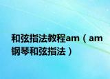 和弦指法教程am（am钢琴和弦指法）