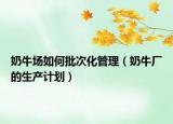 奶牛场如何批次化管理（奶牛厂的生产计划）