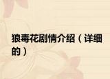 狼毒花剧情介绍（详细的）