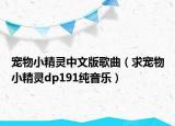 宠物小精灵中文版歌曲（求宠物小精灵dp191纯音乐）