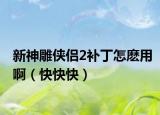 新神雕侠侣2补丁怎麽用啊（快快快）
