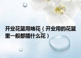 开业花篮用啥花（开业用的花篮里一般都插什么花）