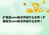 扩展名com的文件是什么文件（扩展名为com的文件是什么文件）