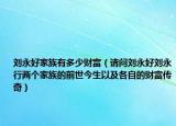 刘永好家族有多少财富（请问刘永好刘永行两个家族的前世今生以及各自的财富传奇）
