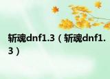斩魂dnf1.3（斩魂dnf1.3）