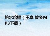 帕尔哈提（王卓 故乡MP3下载）