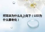 捋耳朵为什么从上向下（LED为什么要老化）