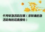 代号斩激活码在哪（求斩魂的激活码有的话直接给）