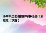 小苹果里面说的那句韩语是什么意思（求解）