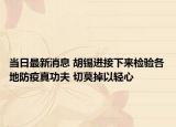 当日最新消息 胡锡进接下来检验各地防疫真功夫 切莫掉以轻心
