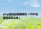 pmp培训远程哪家好（PMP远程培训怎么样）
