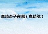 真崎杏子在哪（真崎航）