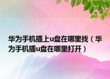 华为手机插上u盘在哪里找（华为手机插u盘在哪里打开）