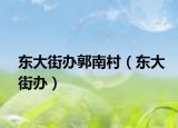 东大街办郭南村（东大街办）
