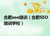 合肥seo培训（合肥SEO培训学校）