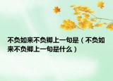 不负如来不负卿上一句是（不负如来不负卿上一句是什么）