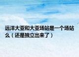 远洋大亚和大亚场站是一个场站么（还是独立出来了）