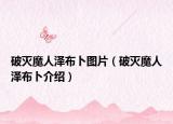 破灭魔人泽布卜图片（破灭魔人泽布卜介绍）