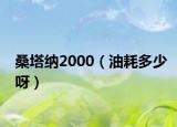 桑塔纳2000（油耗多少呀）